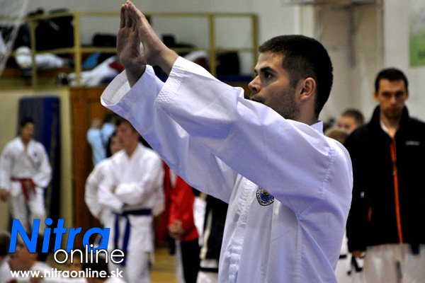 taekwondo1 20131201 1863755097